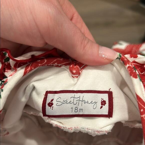 SweetHoney Toddler Girl Red Cream Long Sleeve Pockets Floral Rose Dress Size 18M - Picture 6 of 11